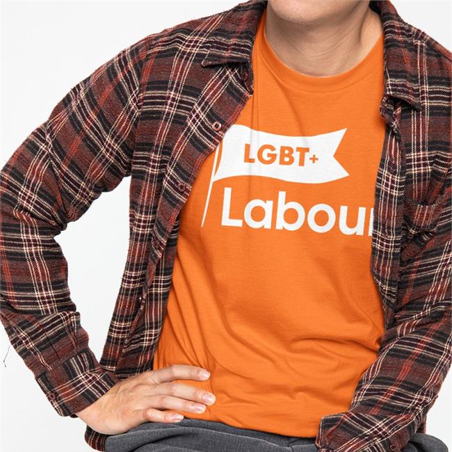 Lucy Powell MP LGBT+ Labour T-Shirt Lucy Powell MP Manchester Pride LGBT+ Labour Shirt