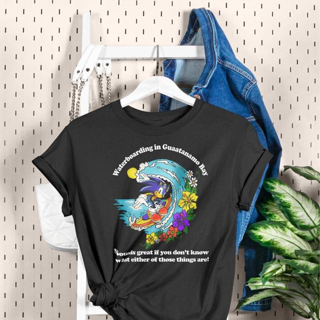 Waterboarding In Guaatanamo Bay Tee Shirt Sonic Waterboarding In Guaatanamo Bay Sounds Great If You Don’T Know What Either Of Those Things Are Shirt Shirts That Go Hard Boy Underground Merch