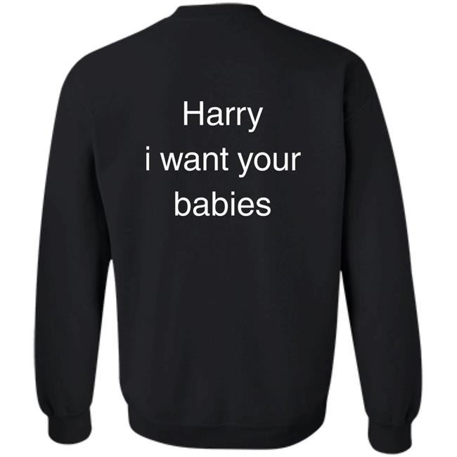 Hsloutfits Love On Tour Outfits Harry I Want Your Babies Shirt