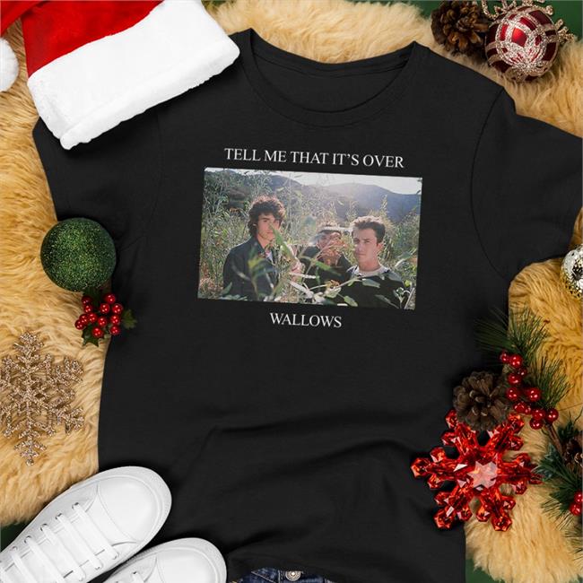 Tell Me That It's Over Hooded Sweatshirt Wallows Merch