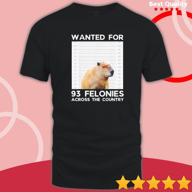 Official Capybara mugshot wanted for 93 felonies across the country Long Sleeve T Shirt