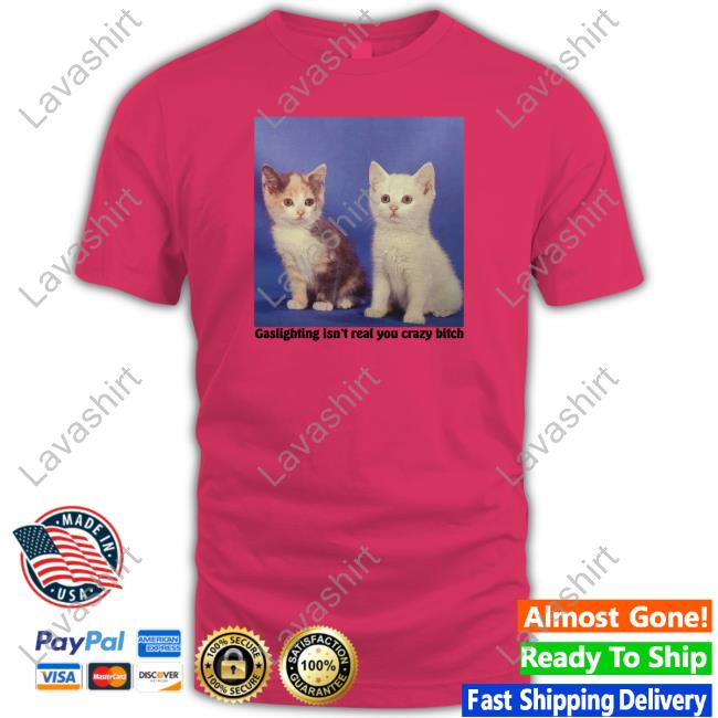 Gaslighting Isn't Real You Crazy Bitch Shirts Shirts That Go Hard