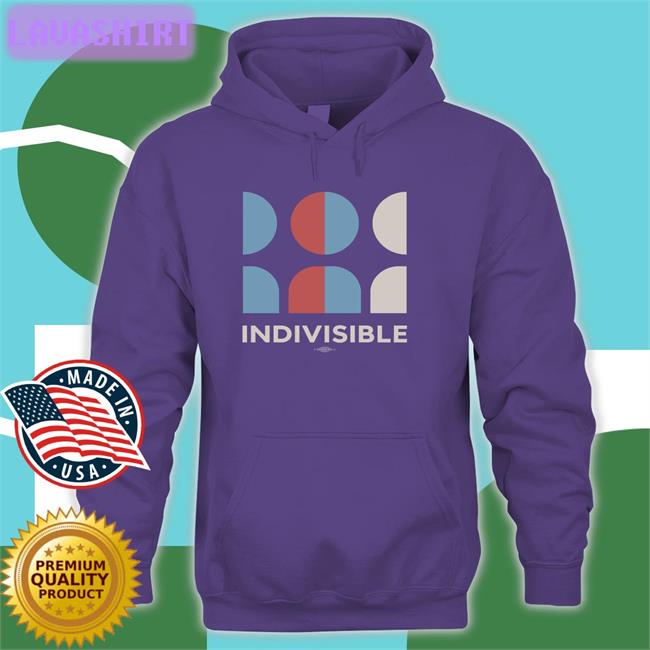 Indivisible Store Indivisible Logo New Shirt Non-Ficshawn