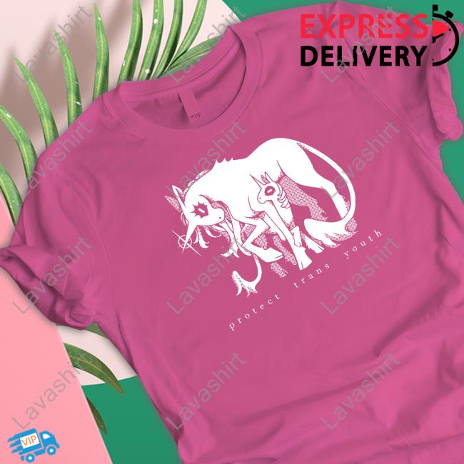 Ian Wateryday Protect Trans Youth Sweatshirt Unicorn Protect Trans Youth T-Shirt