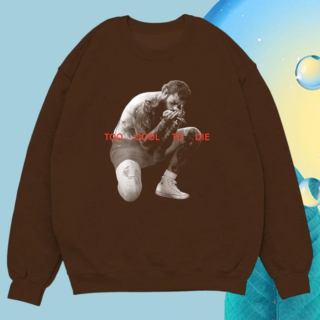 Official Post Malone Merch Store Post Malone Too Cool To Die Sweatshirts Post Malone Apparel Clothing Shop PostMalone