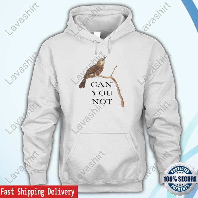 Official Effin Birds Merch Can You Not Effin Birds Shirt