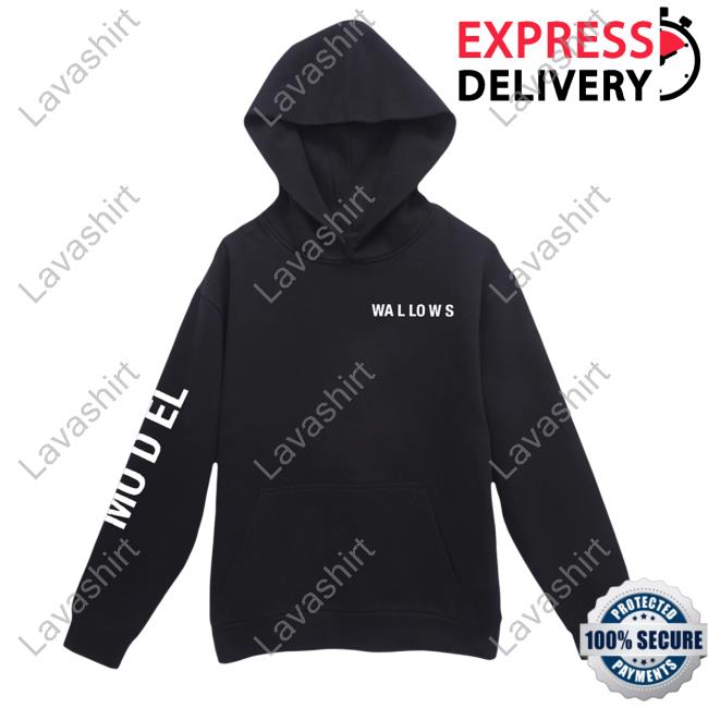 Official Wallows Merch Shop 'Model' Album Long Sleeve Hoodie