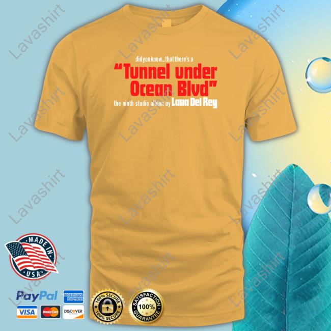 Did You Know That There's A Tunnel Under Ocean Blvd Hoodie