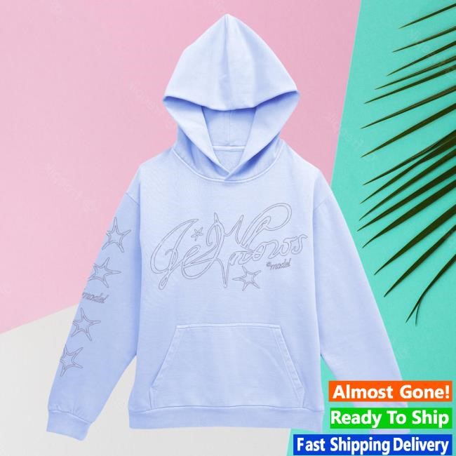 Wallows Model Star LS Hoodie – Wallows Store