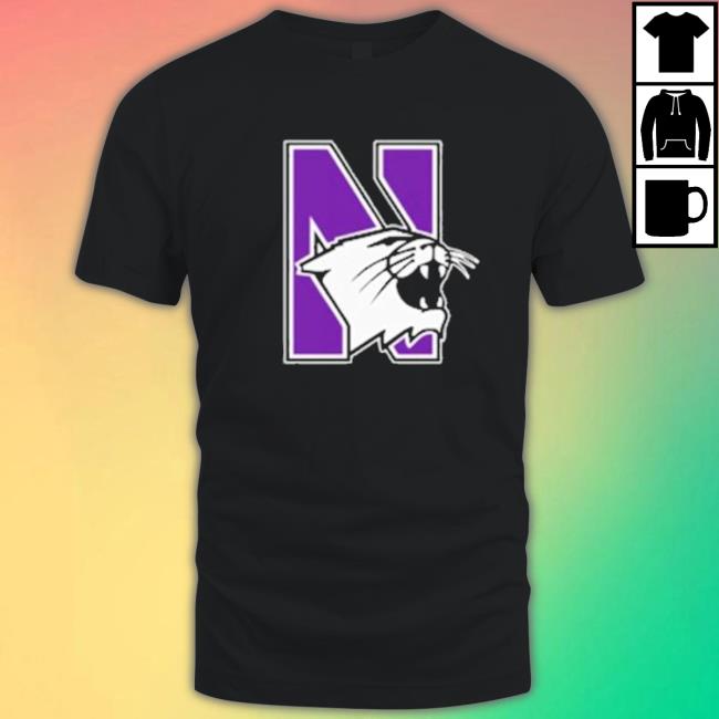 Northwestern Wildcats Cap