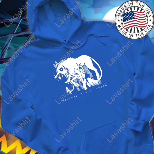 Protect Trans Youth Limited Edition Sweatshirt