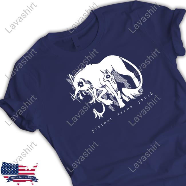 Ian Wateryday Protect Trans Youth Sweatshirt Protect Trans Youth Limited Edition Shirt