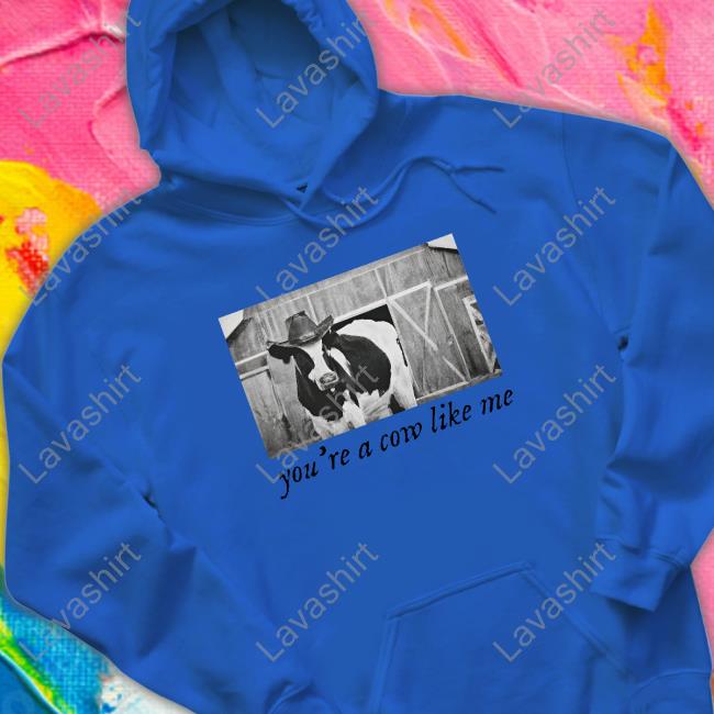 Official Allymakesmagic Merch You're A Cow Like Me T Shirts