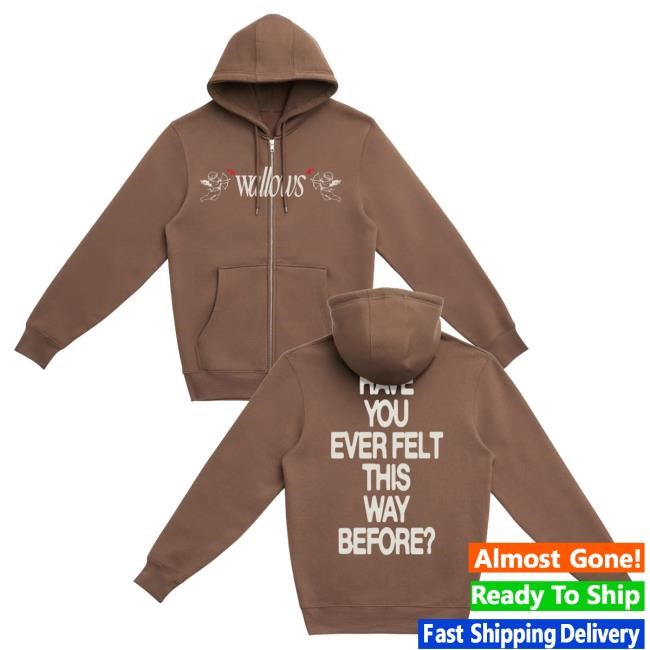Official Wallows Merch Store Wallows Angel Zip-Up Popover Hoodie
