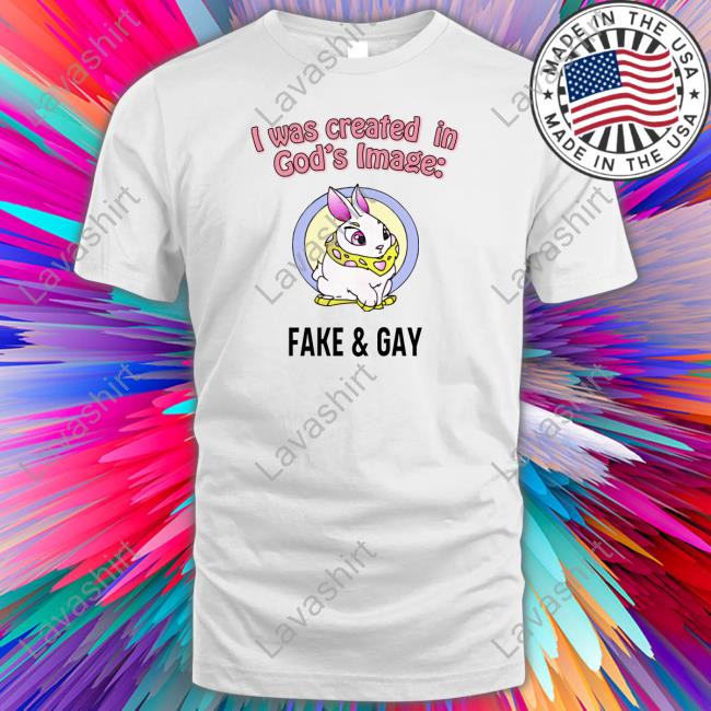 I Was Created In God's Fake & Gay Hoodies