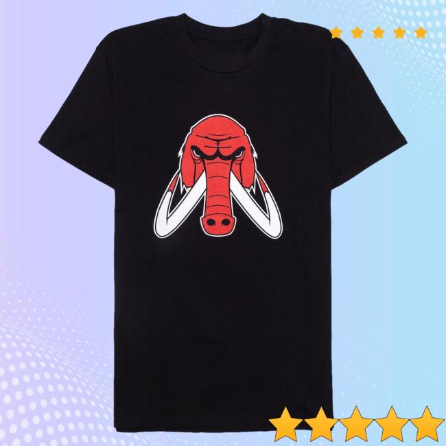 Official Wooli Merch Bar Woolidrop Wooli Chicago Shirt Wooli Music MerchBar