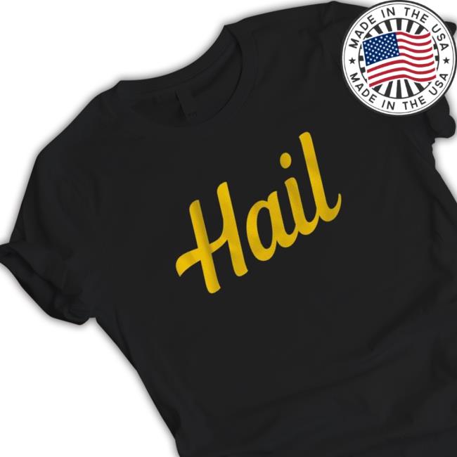Official Michigan Wolverines Hail Sweatshirt