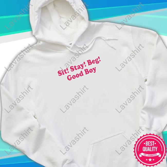 Sit Stay Beg Good Boy T Shirts
