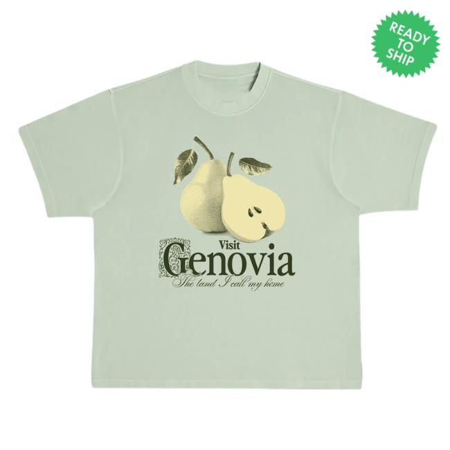 Official Super Yaki Shop Super Yaki Visit Genovia Heavyweight Tees Genovian Green