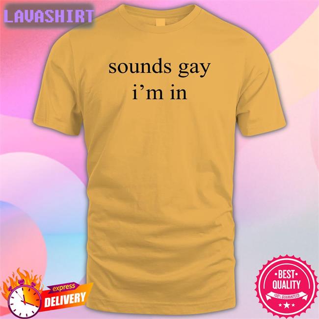 Shirts That Go Hard Sounds Gay I'm In Unisex Hoodie Shirt