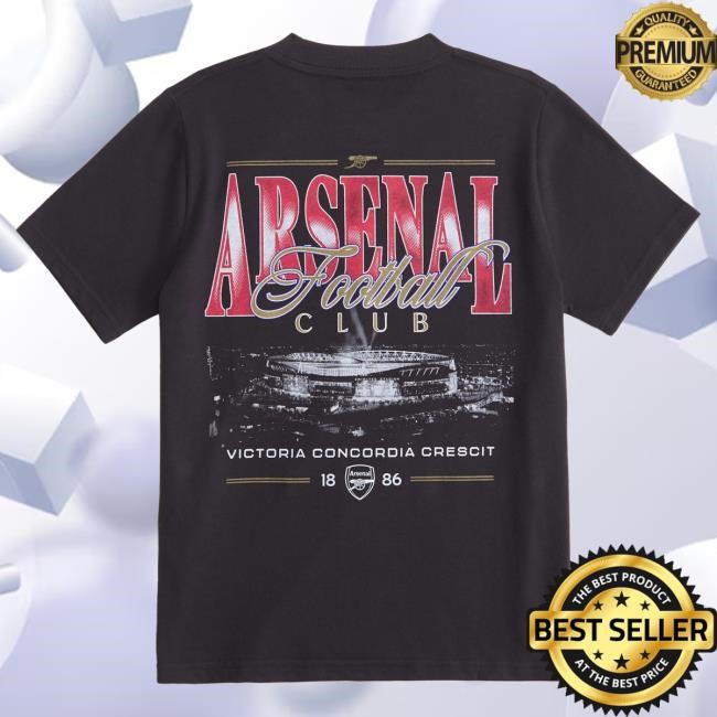 Official Abercrombie And Fitch arsenal fc graphic Shirt