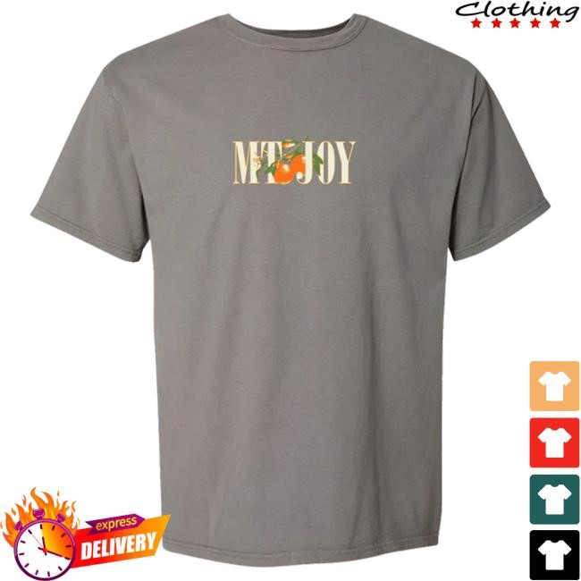 Official Mt Joy Merch Store Mt. Joy Orange Shirts