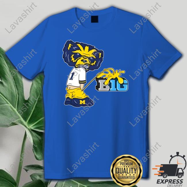 Official Barstool Sports Mi Big 10 Shirts
