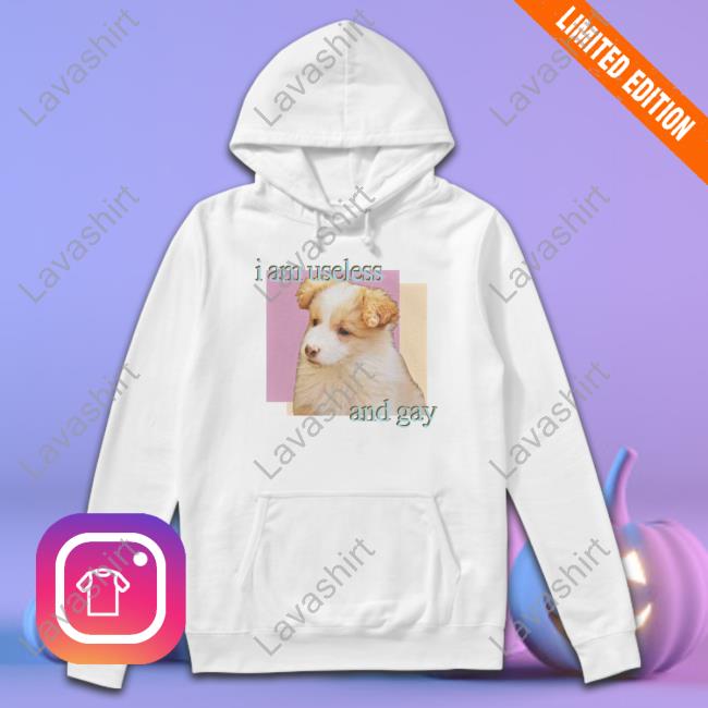 Shirts That Go Hard Dogecore Merch I Am Useless And Gay Sweatshirt