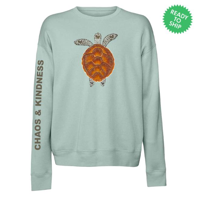 Official Chaos And Kindness Store Turtle Hoody