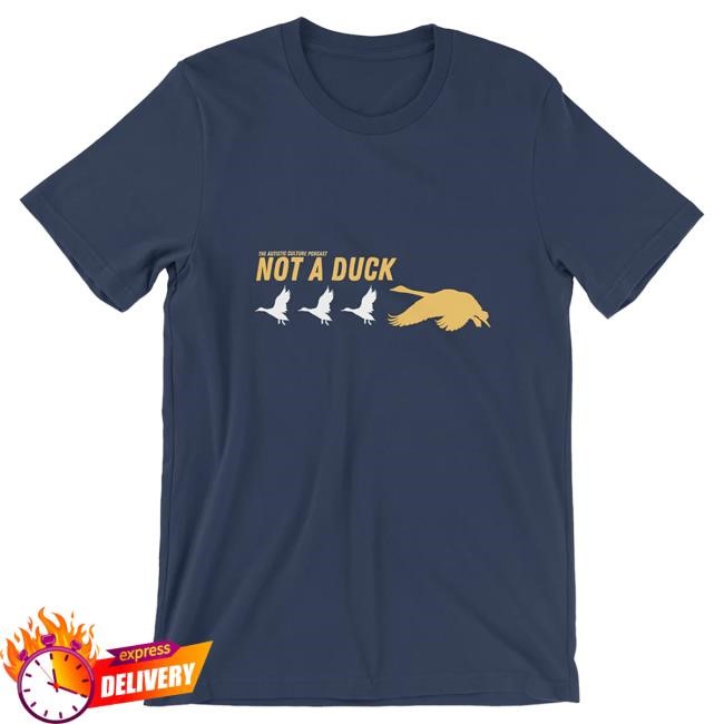 Official Drawfee Merch Store Dftba Not a Duck T Shirt