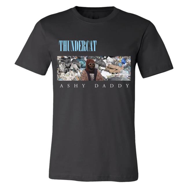 Official Thundercat Merch Thundercat Ashy Daddy Tee Shirt Theamazingthundercatstore
